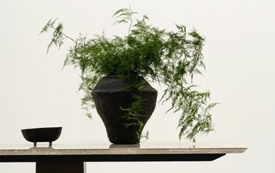 Two Dining Groups: Where Architecture Meets Art