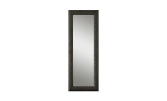 Fuji Mirror
