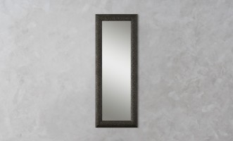 Fuji Mirror