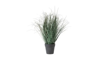 Artificial Grass in pot S size H43 cm
