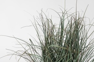 Artificial Grass in pot S size H43 cm