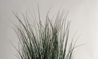 Artificial Grass in pot L size H83 cm