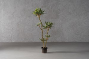 Artificial Agave Tree H155 cm
