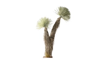 Artificial Scarecrow Tree 2 heads H211 cm