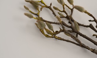 Artificial Kapok Tree Branch H90cm