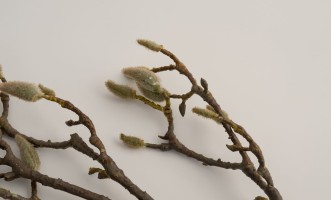 Artificial Kapok Tree Branch H90cm