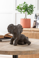 Elephant Lying Dark