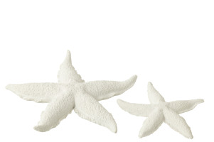 White Starfish Polyresin L