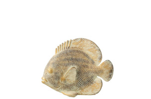 Flat Fish Polyresin S