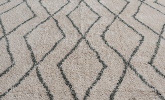 Vasu Rug 200x300 cm (green pattern)