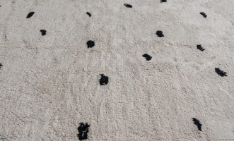 Lally Rug 200x300 cm