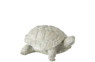 Turtle Gray L