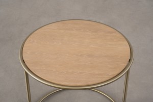 Train Coffee Table with Tray D53