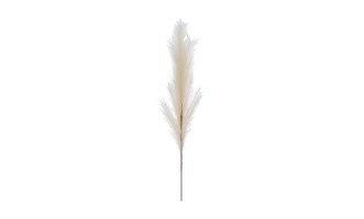 Branch Plumeau Beige Large (20x6x160cm)