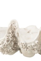 Seashell Decorative Bowl Off-White S
