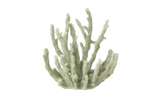 Coral Mint Green Medium (15X9X16Cm)