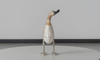 Duck Right Looking
