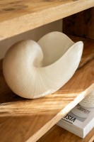 Shell White (31X16,5X21,5Cm)