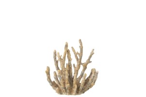 Coral Fugurine Brown/Gold (15x9x16cm)