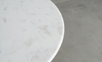 Ridd Marble Top Coffee Table