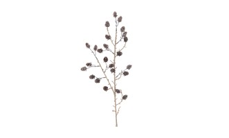 Branch Pine Cones