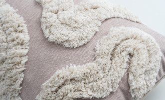 Roice Cushion