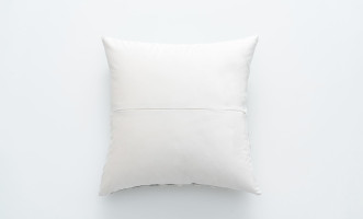 Brooks Cushion