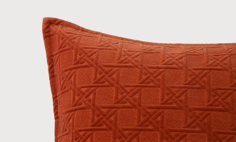 Tic Cushion