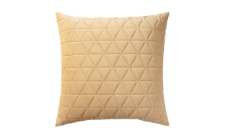 Fortune Cushion