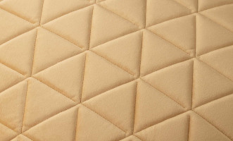 Fortune Cushion
