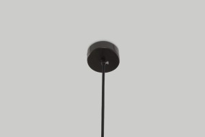 Avian Pendant Lamp L145xD22xH13 bronze
