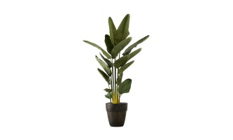 Artificial Traveler Banana Tree, H 180 cm