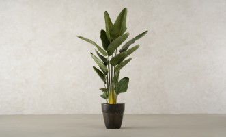 Artificial Traveler Banana Tree, H 180 cm