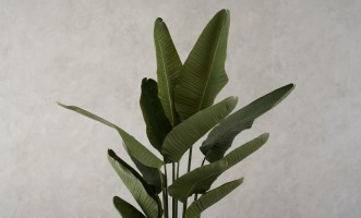 Artificial Traveler Banana Tree, H 180 cm