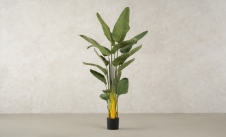 Artificial Traveler Banana Tree, H 180 cm