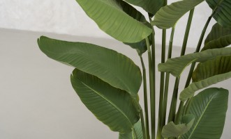 Artificial Traveler Banana Tree, H 180 cm