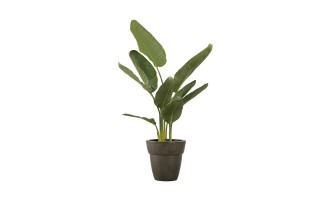 Artificial Traveler Banana Tree, H 120 cm