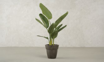 Artificial Traveler Banana Tree, H 120 cm