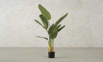 Artificial Traveler Banana Tree, H 120 cm