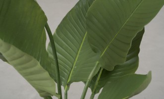 Artificial Traveler Banana Tree, H 120 cm