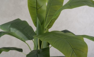 Artificial Banana Tree, H 205 cm