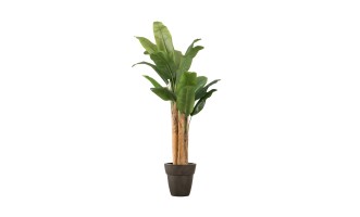Artificial Banana Tree, H 150 cm