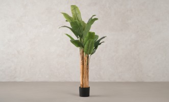 Artificial Banana Tree, H 150 cm