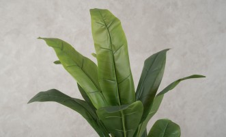 Artificial Banana Tree, H 150 cm