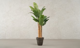 Artificial Banana Tree, H 150 cm