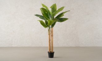 Artificial Banana Tree, H 220 cm