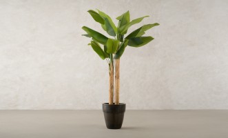 Artificial Banana Tree, H 220 cm