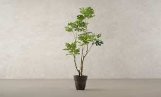 Artificial Fig Tree, H 180 cm