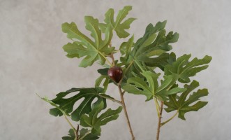 Artificial Fig Tree, H 180 cm