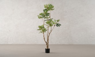 Artificial Fig Tree, H 180 cm
